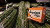Ampalaya Plus 30 Capsule (Blood Sugar Support)