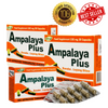 Ampalaya Plus 3 Boxes 30 Capsules Per Box  ( 90 Caps All) Blood Sugar Support