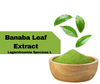 Banaba Herbal Tea  20 Tea Bags - All Natural Caffeine Free
