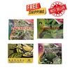 Lagundi Tea - Banaba Tea - Sambong Tea - Guyabano Tea- 4 boxes 80 bags-Organic